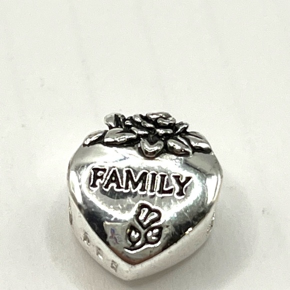 FAMILY Heart love charm Slide style charm! 925  SS European Style Special - Picture 4 of 6